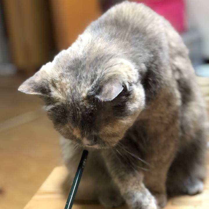 584ba47a 2ef3 460e 99d7 0b01aa2fba36 1665671953201