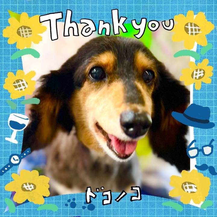 584bc11f 6e16 4caf 963d 92f9492a4c3e 1718490702465