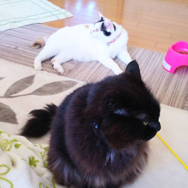 584bc44a dfeb 4e64 b286 0af470845c6f 1520378004239