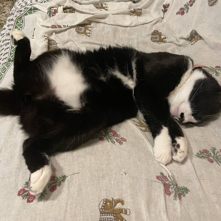 584bea84 f22d 4116 997c 5b7b3064388f 1752663064302