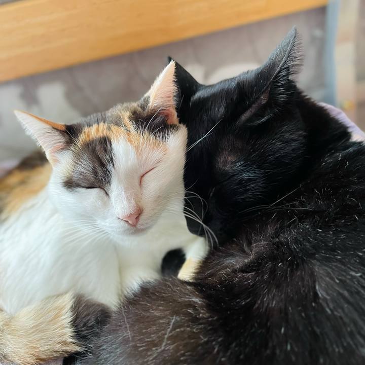 584bfdd0 1f79 4e4a 9e87 39a718232e16 1636682203797