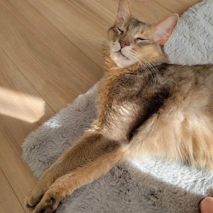 584c0067 3f50 4cd4 b064 45447870482b 1671240641285