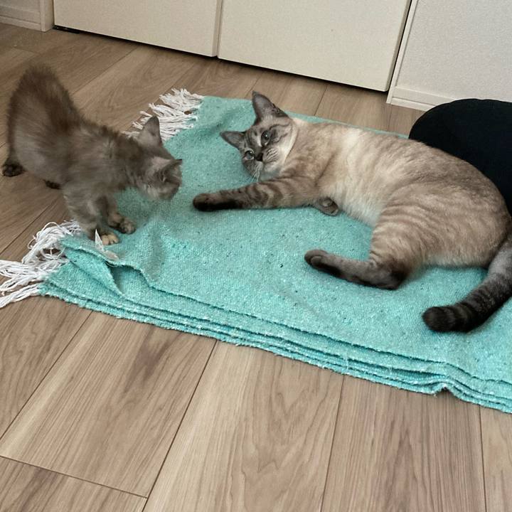 584c5e45 f68f 4c7a 922a eb571386b340 1691115863543