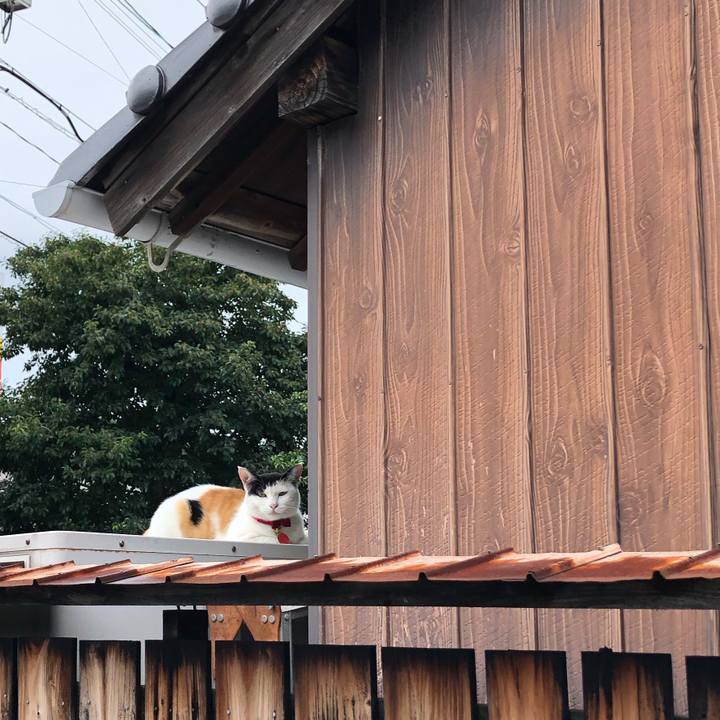 584cc362 863f 4a48 a2d7 bcdfbab71231 1631829375321