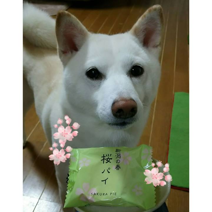 584d095e de20 4cba 8dd7 358cf537a1f4 1522062512144