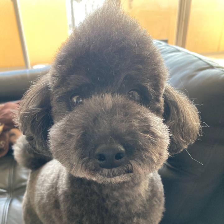 584d1cb0 3c3f 4746 a4c4 e91a8ec2b37b 1683220020475