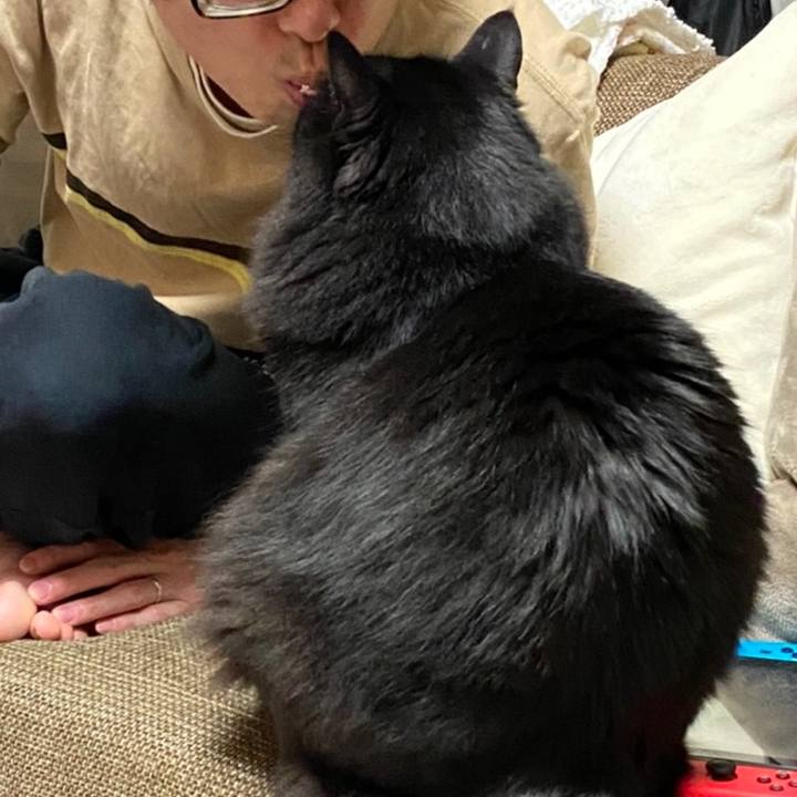 584d5d82 b862 4c0d ba37 2601b4d0c5db 1590520867927