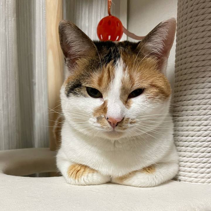 584d5eff 14f4 443e 876e 31674bd6ab90 1612533611044