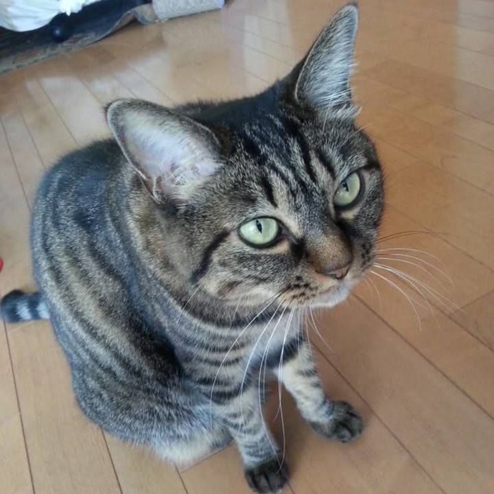 584d9e72 642a 4080 8957 3b73ac8d735c 1760653759384