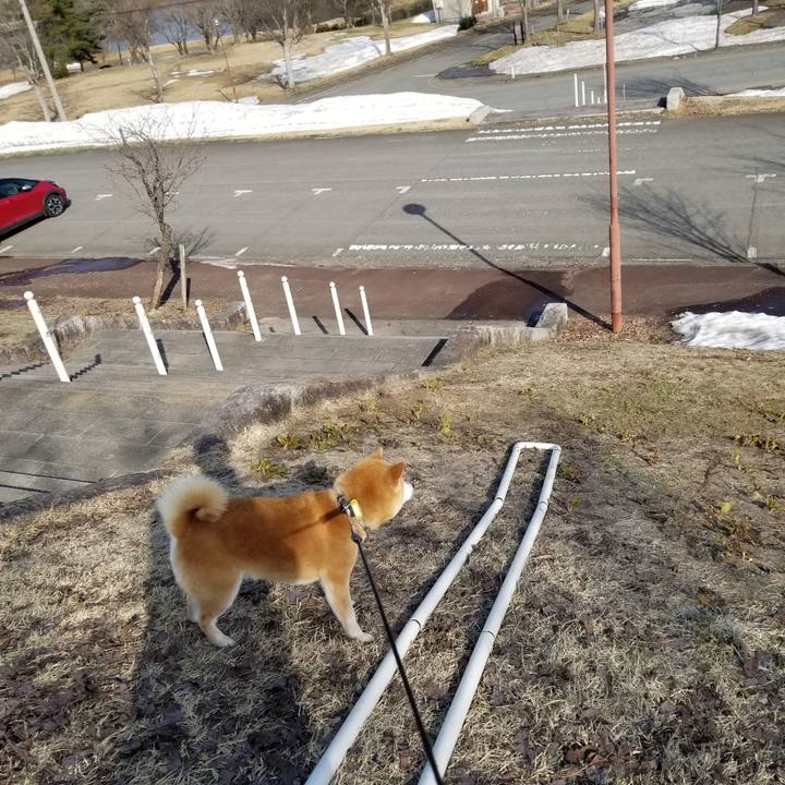 584db94b 6997 4ea0 9d9b abd74e822090 1649575158826