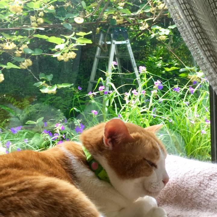 584ddc31 1ff4 481c aa3a 66dcb262afa6 1559357812282