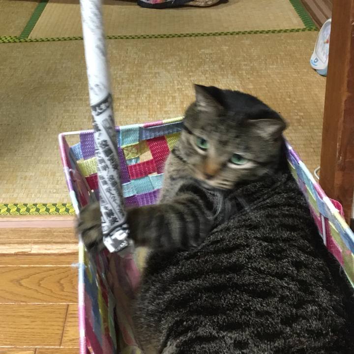 584e006b b729 4fbe 9174 40df56f2506b 1507978056602