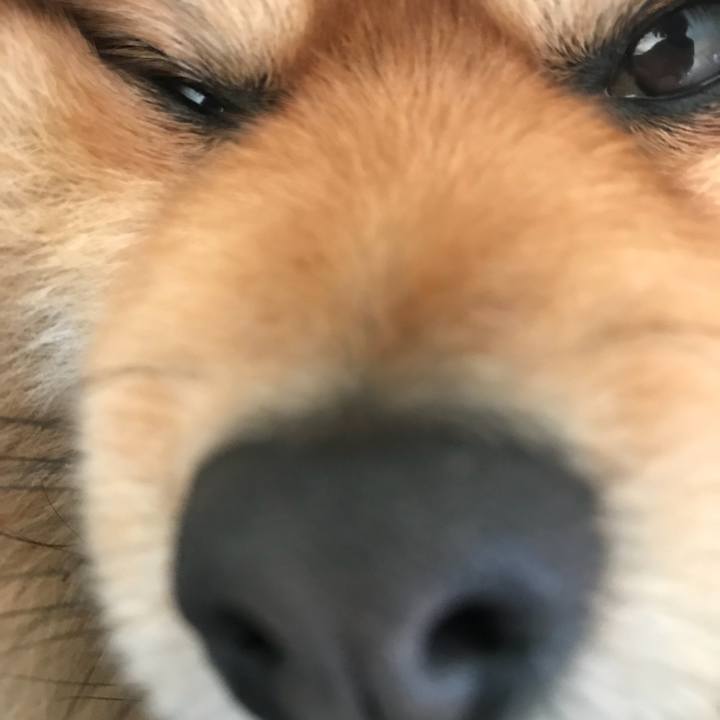 584e35ea ed30 4a97 850a 760804effd7f 1518877519644