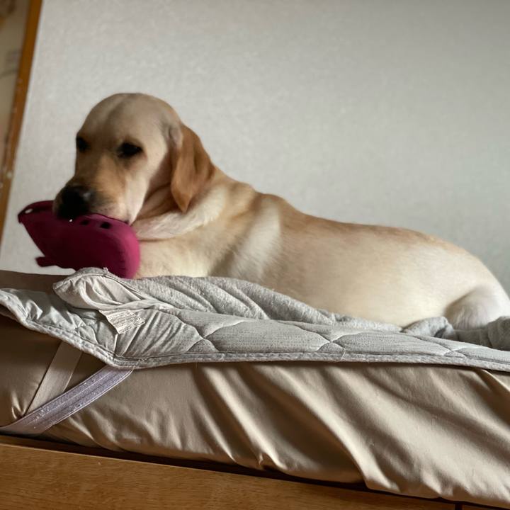 584e53cd d877 4674 8521 2240d4f50af2 1657579529068