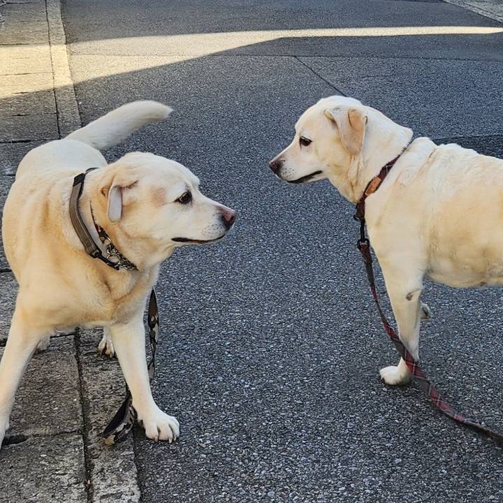 584e547d 71b6 41f3 9825 46b0449850ed 1769771440889