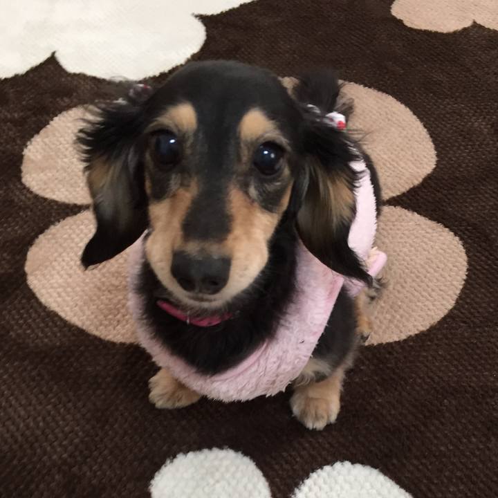 584e892e 69fa 47e6 8a13 92caf642aa6d 1517979087649