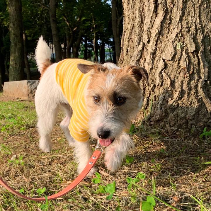 584ea979 6e12 44f2 8340 5ffd21de9e60 1591262564468