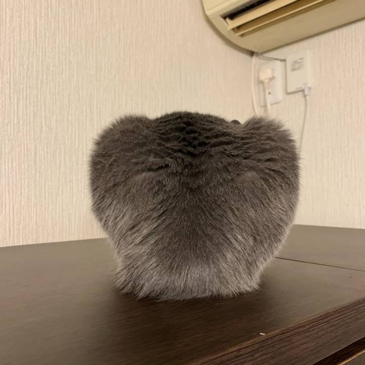 584eaa83 ecad 48b7 ada6 9e7d4610db4d 1644315008382