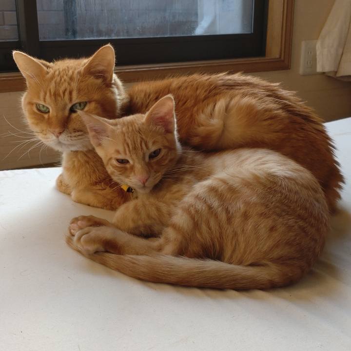 584ee5ff 21aa 463e abdc 272fe824ff3e 1673086759737