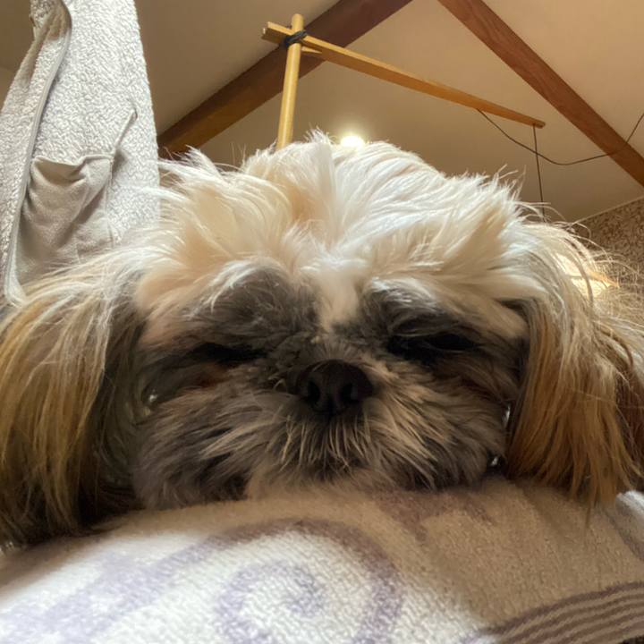 584ef773 aa1b 4145 b64d 088580ff18c0 1645327174805