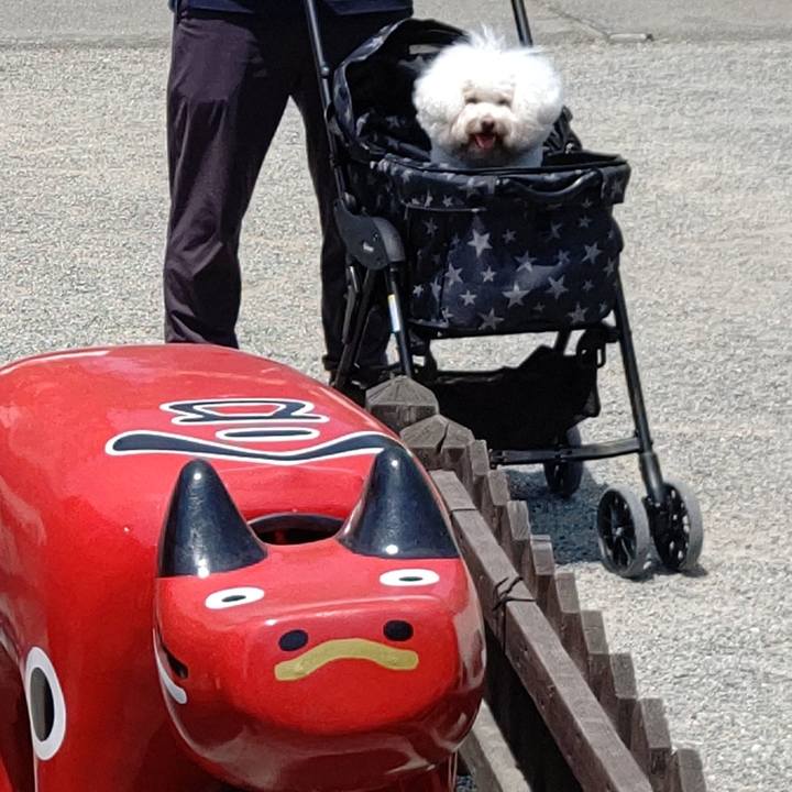 584efd77 f45a 4116 9674 32ab168eaf81 1718777774004