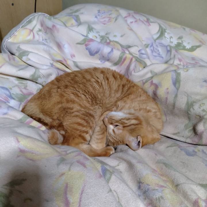 584f104c 1203 4ac4 bab9 e0b9dec220a0 1673959695330