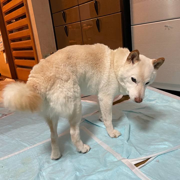 584f1b28 acfb 4e95 b43b 627c2e391591 1637583192516