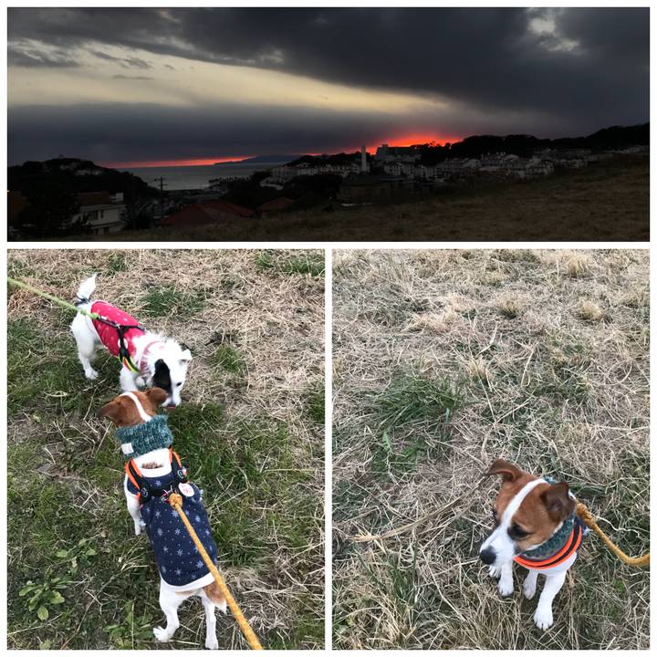 584f3e0c 3b7d 48cc 88ac c91a0e7d8e08 1513497884266