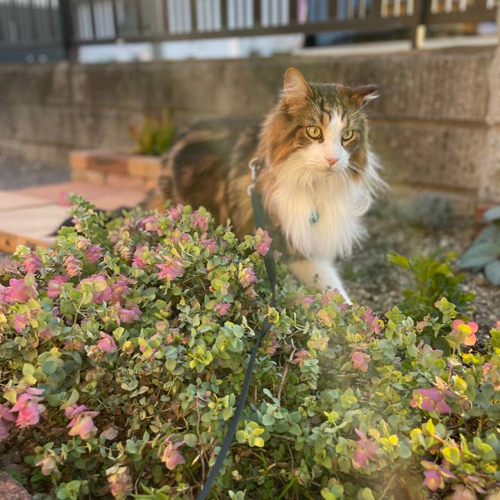 584f4dda 71d6 48d2 8fe3 3b0a3f5ed40a 1731227087645