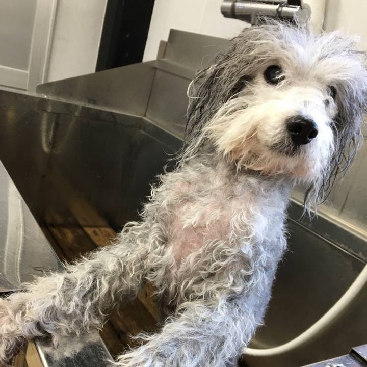 584f7f5d 8dd9 45bc bfa8 a4c04e42194b 1716180486104