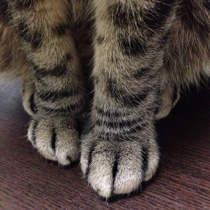 584fb2c6 0ebd 4239 b2d7 0a5d8b07d78b 1514308820144