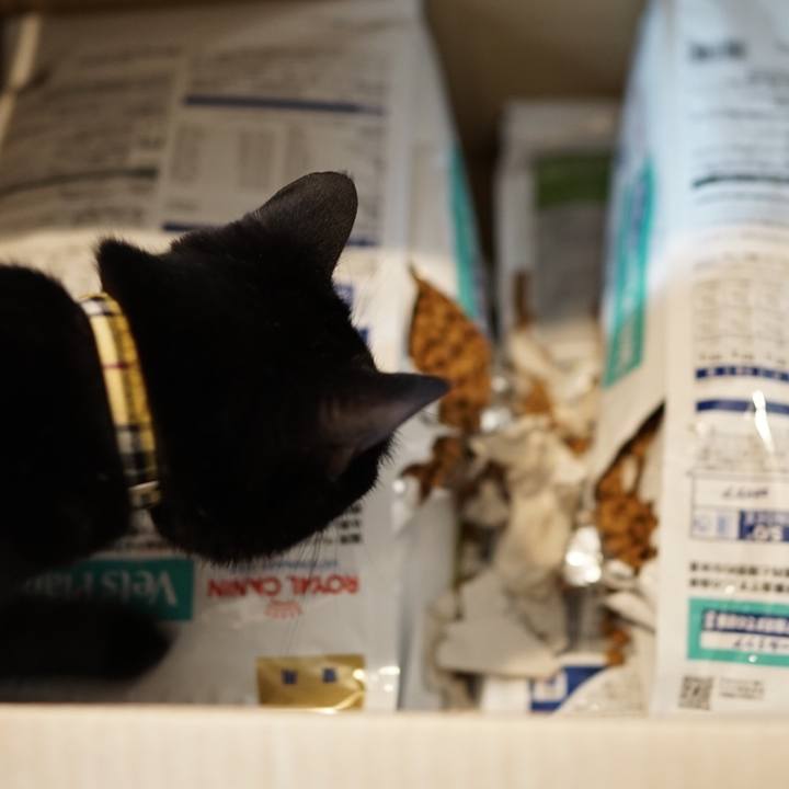 584fb3c3 02e0 4fb7 9c17 cff08e7d091f 1559438337788