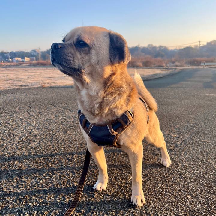 584fcb6e 76a4 4657 a71e 6e788b409b9a 1769727547835