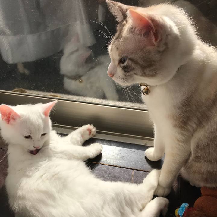 584fcd77 9f52 4dd7 a5b3 703b7abba6b6 1509879159348