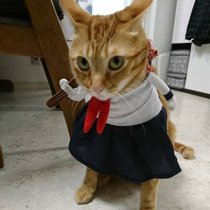 584ff5bb ff71 42f8 befc 8736dd3f8585 1518348248098