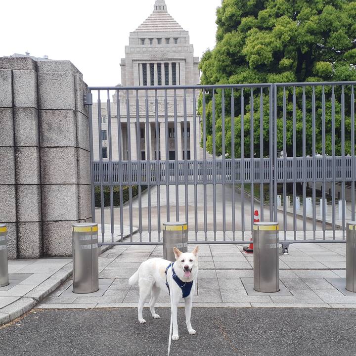 58507f76 52a4 4b87 8028 267f311ca561 1682150344855