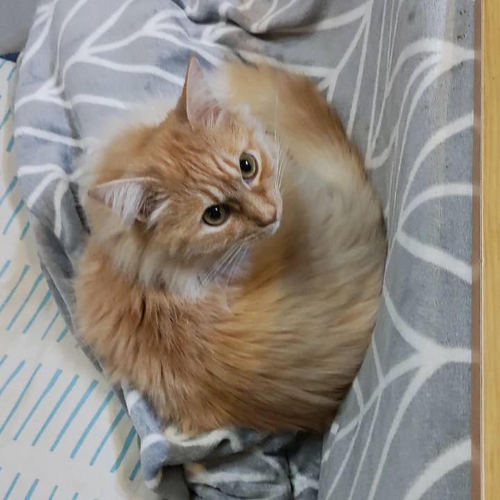 5850a912 6c67 476a bb06 ce5334645cbd 1708347450223