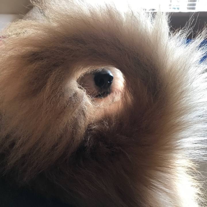 5850bfc8 b27d 492c 8252 98a53ea9c867 1539124353555