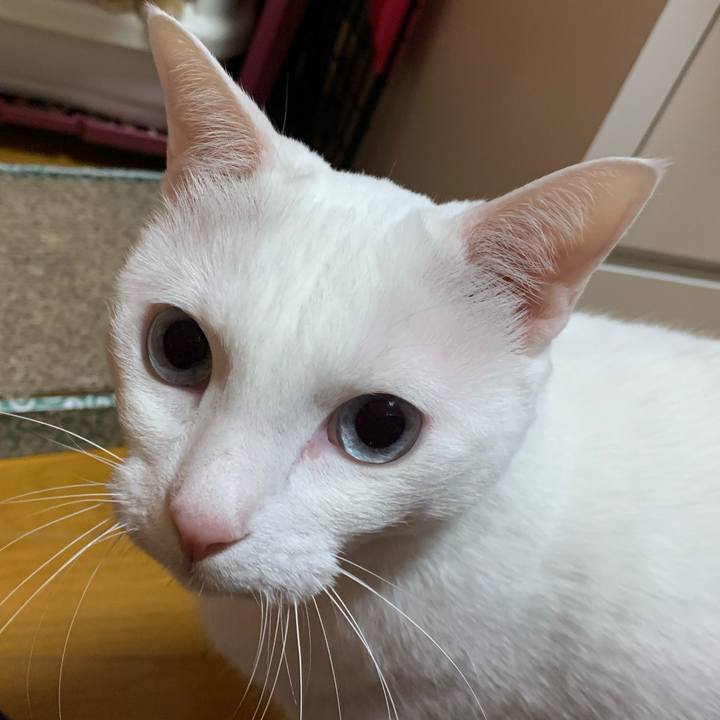 5850d6d9 2e60 4dfa 9c5e a88861ccff21 1587818453162