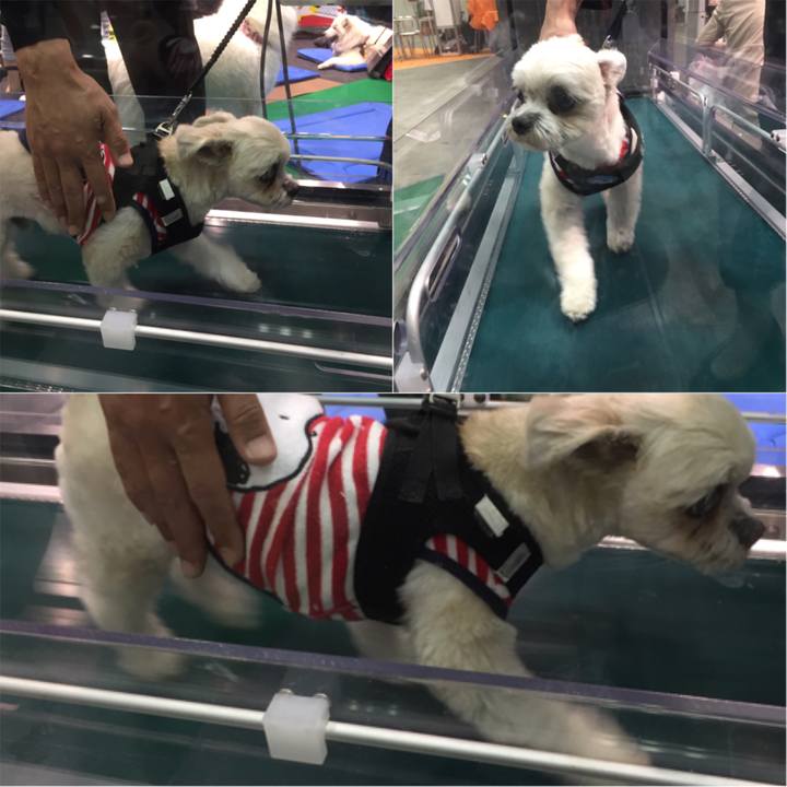 58511d9e a788 4bf4 9444 4632907e706a 1522667810244