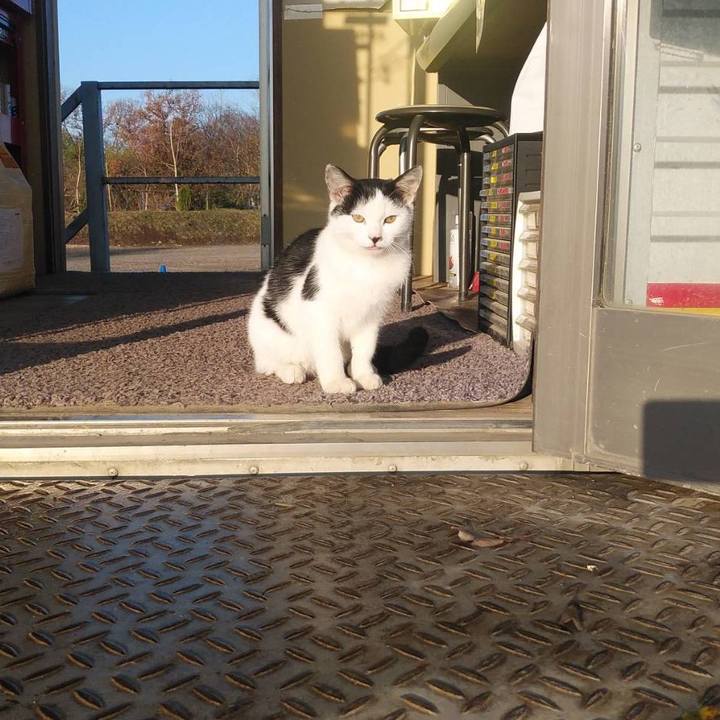 58511f5d 982c 49f8 9f6f 7e3cfa364ba2 1576798856447