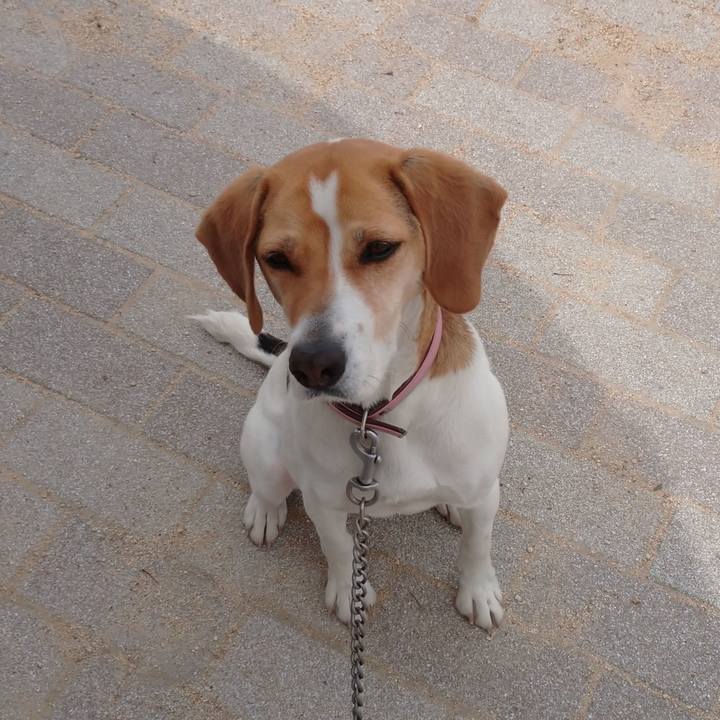 58512be3 869c 44fa a5a2 cfe7ba5db373 1587528180859