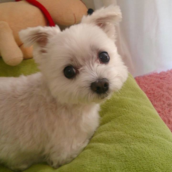 58512c75 b09d 4f99 8646 45777bb3e2d0 1513644000745