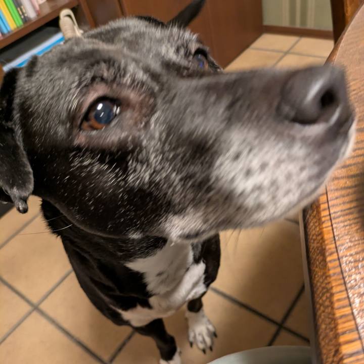 5851466e 9b10 4b7d 8def 4aae32dcfc0b 1737323665547