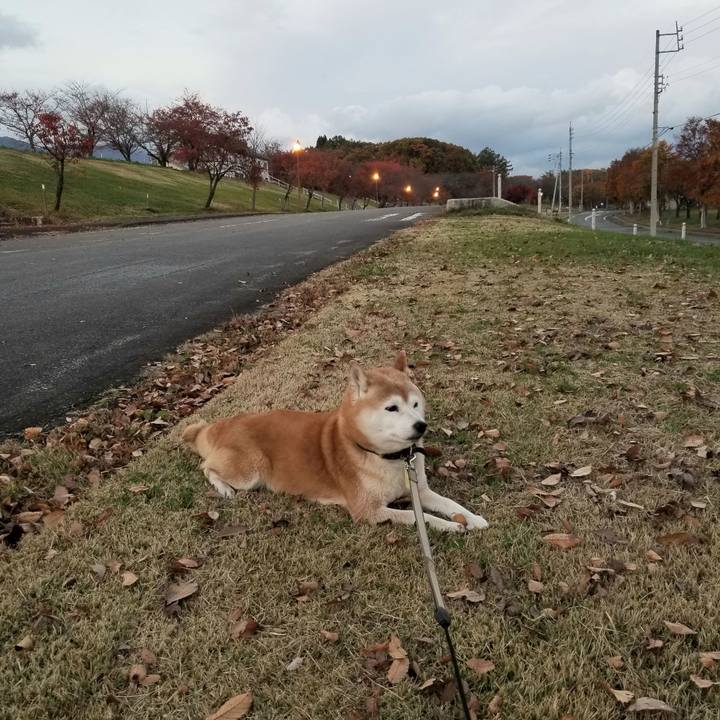 585188a4 1970 4e3c acea 0a7202b05deb 1667461685621