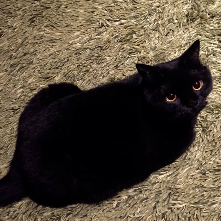 58518a48 af78 4256 a15f fddbf2e39446 1535545435432