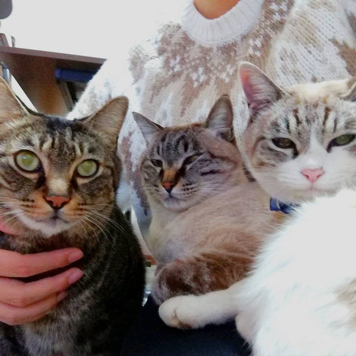 585198d4 7bc9 430e a522 1e6defe64f62 1609507310398