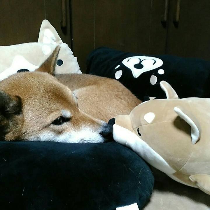 5851ace6 4fa7 4341 9e05 a1f310873708 1541407581879