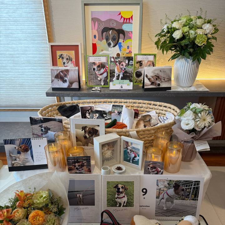 5851b889 3d16 4555 a451 0e1aaacaf5c5 1757821681526