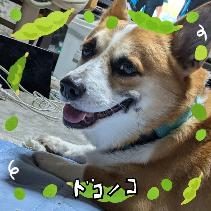 5851e6ad 5fd5 477c 8c77 a508a8402b8a 1720933630908